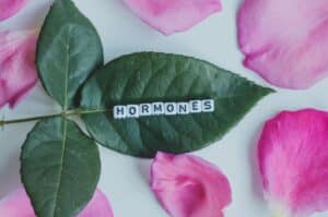 Les hormones et leur influence sur la ménopause