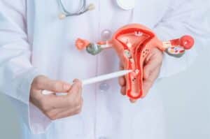 Un médecin montre le fonctionnement de l'utérus