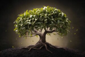 Peut-on combiner plusieurs bourgeons pour un effet synergique sur le sommeil